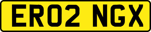 ER02NGX