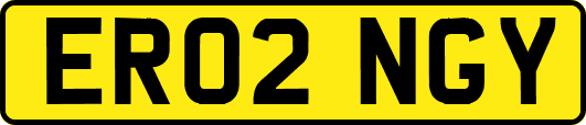 ER02NGY