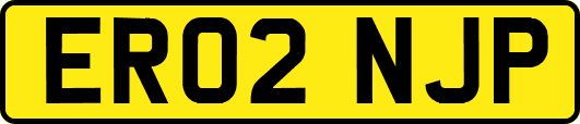 ER02NJP