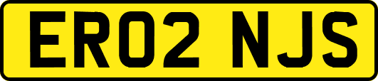 ER02NJS