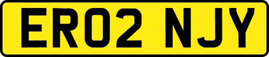 ER02NJY