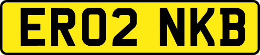 ER02NKB