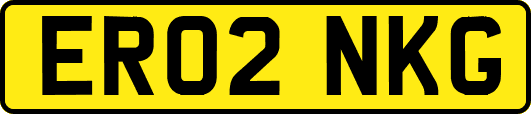 ER02NKG
