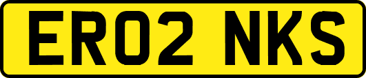 ER02NKS