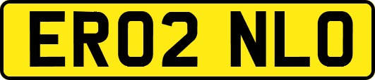 ER02NLO