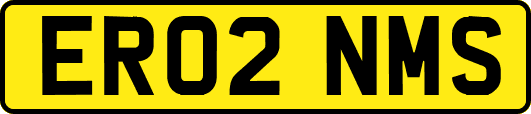 ER02NMS