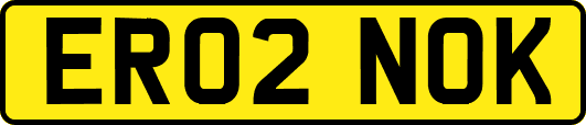 ER02NOK