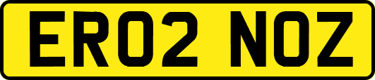 ER02NOZ