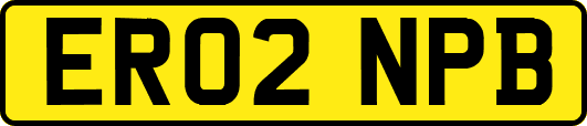 ER02NPB
