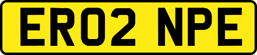 ER02NPE