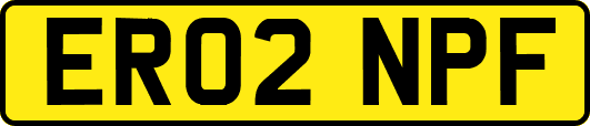 ER02NPF
