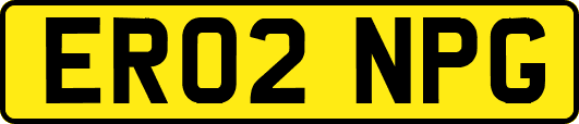 ER02NPG