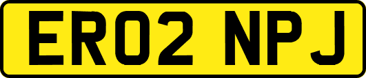 ER02NPJ