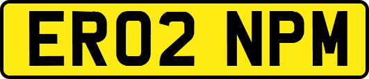 ER02NPM