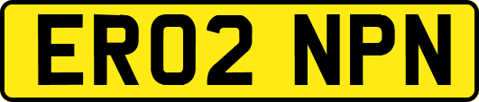 ER02NPN