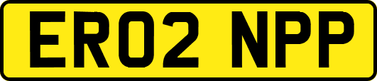 ER02NPP