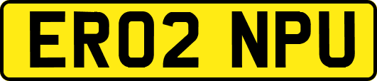 ER02NPU