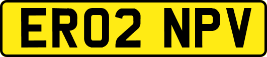 ER02NPV