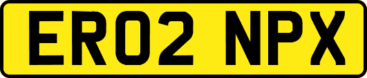ER02NPX