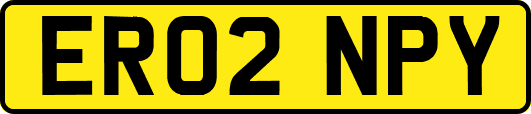ER02NPY