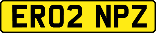 ER02NPZ