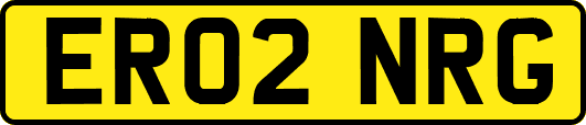ER02NRG