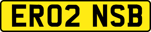 ER02NSB