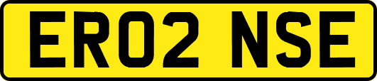ER02NSE