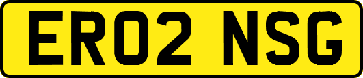 ER02NSG