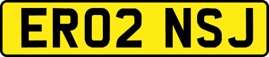 ER02NSJ