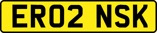 ER02NSK