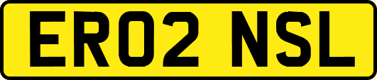 ER02NSL