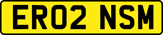 ER02NSM