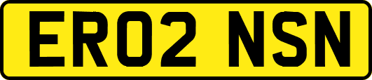 ER02NSN