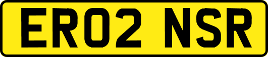 ER02NSR