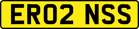 ER02NSS