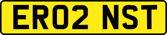 ER02NST