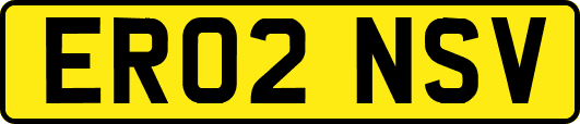 ER02NSV