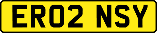 ER02NSY