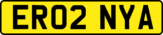 ER02NYA