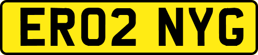 ER02NYG