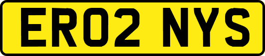 ER02NYS
