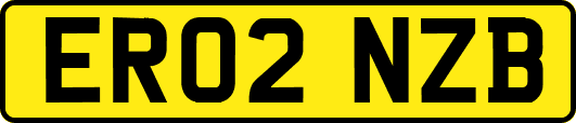 ER02NZB