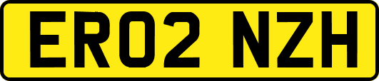 ER02NZH