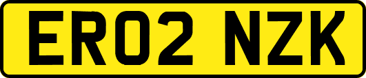 ER02NZK
