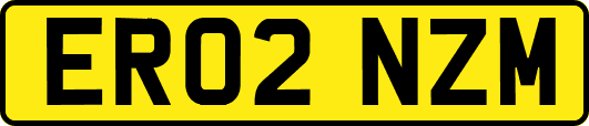 ER02NZM