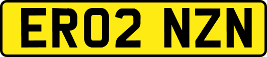 ER02NZN