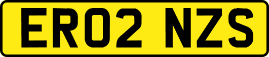 ER02NZS