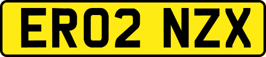 ER02NZX