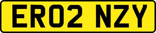 ER02NZY